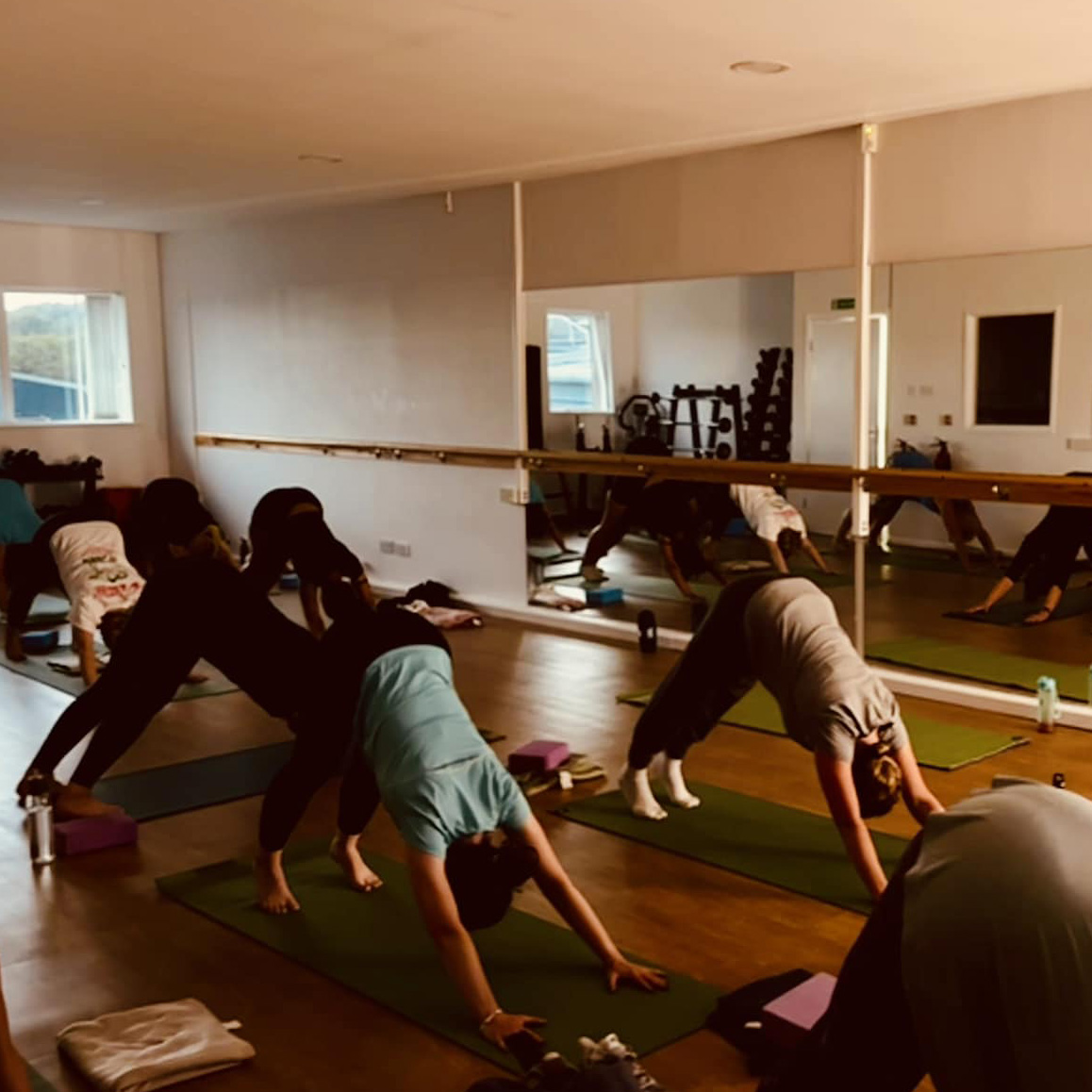 yoga down dog yoga down dog
